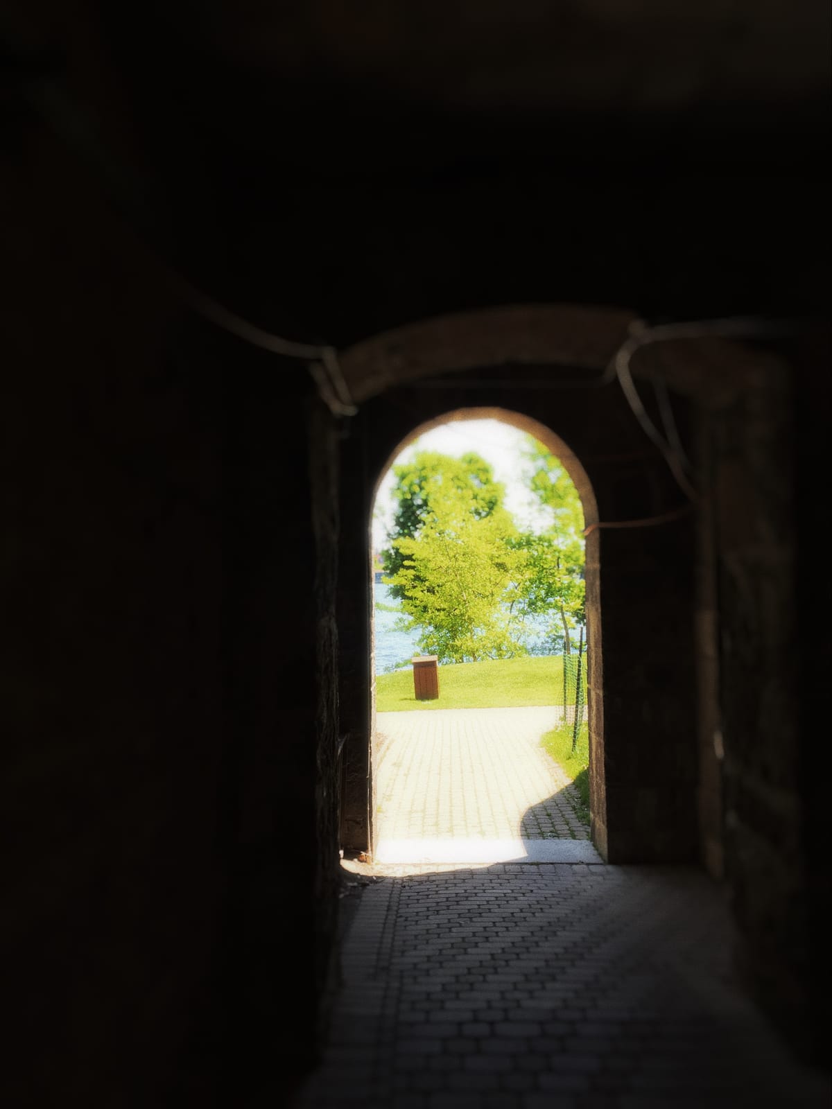 micro.blog 📷 challenge Day 6: contrast